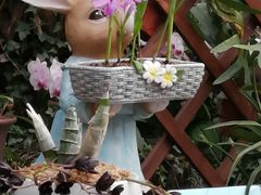 -北京植物园-展览温室