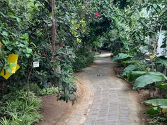 -呀路古热带植物园