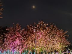 -海花岛旅游度假区