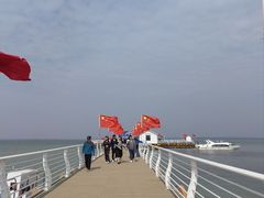 -红碱淖景区