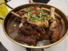 -四季春