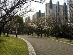 -苏州河梦清园环保主题公园