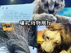 -国家自然博物馆