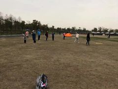 -春花秋色城市公园