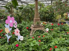 -南宫五洲植物乐园