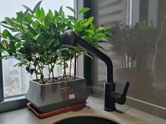 -成都崇州华浔品味装饰集团