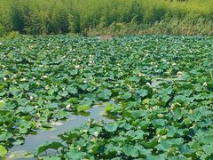 -重元寺香积厨素斋馆