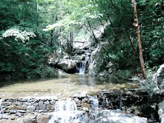 -青峰峡国家森林公园