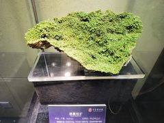 -中华赏石园
