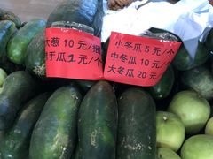 -北戴河集发农业梦想王国