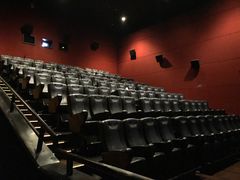 -万达影城(锦华万达广场IMAX店)