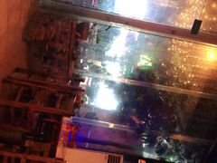 -土蚝·高压锅生蚝(百姓美食街店)