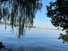 -西湖外事游船(花港观鱼码头)