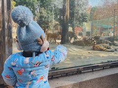 -荆州中山公园动物园