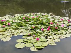 -前关湿地公园