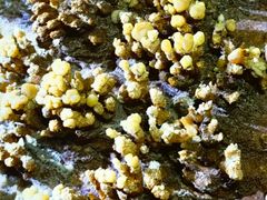 -糕材生(龙湖北京大兴天街店)