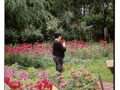 -宝鸡植物园