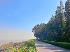 -上海滨江森林公园
