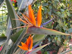 -国家植物园南园