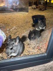 -酷嗒动物文化乐园(cutezoo西溪乐天城店)