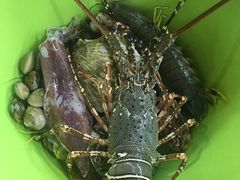 -班赞海鲜市场