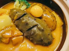 经典海参佛跳墙-彩虹之约•淮扬家宴(亚运村店)