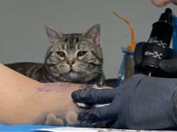 -幸运7纹身刺青Lucky7tattoo