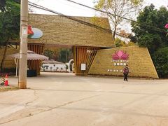 -三圣花乡旅游区