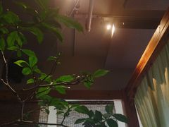 -本处·素食·融合料理(南油店)