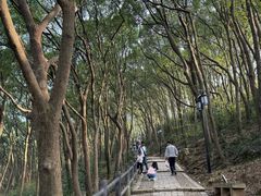 -苏州上方山国家森林公园