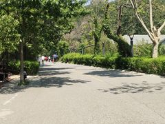 -燕塞湖鸟语林景区