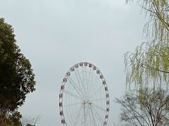 -自然谷恐龙园