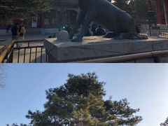 -颐和园