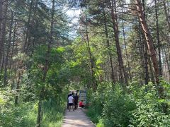 -帽儿山国家森林公园