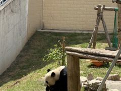 -石家庄市动物园