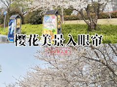 -红星国际广场