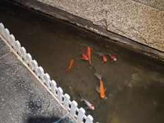 -小隐足道·按摩·主题SPA馆(西红门店)