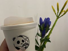 -竹子咖啡bamboo coffee