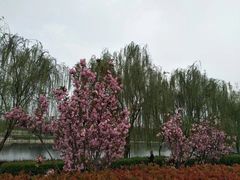 -西安汉城湖景区