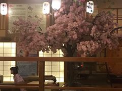 -汤泉良子(金源店)