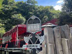 -将军关探险漂流