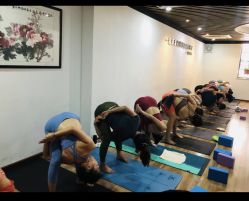 -兴亚瑜伽20年老馆