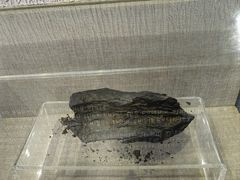 -延庆地质公园博物馆