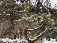 -迎泽公园