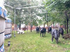 -大汗行宫园林餐厅