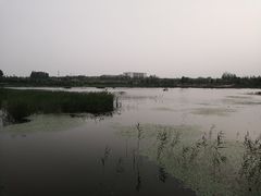 -东郊湿地公园