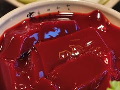 -九尺赵老四鲜鹅肠火锅