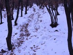 -帽儿山国家森林公园