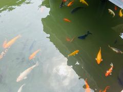 -豫园湖心亭茶楼
