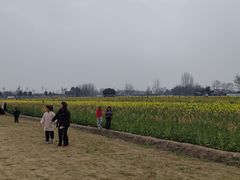 -中国天府农业博览园